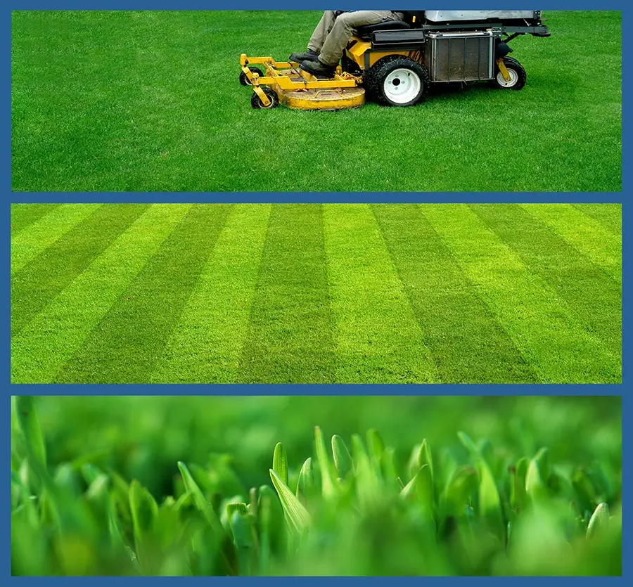 Lawn Care collage - St. Louis, Mo