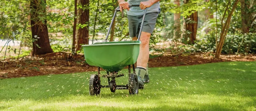 Lawn Fertilizer application - seeding, lawn care - St. Louis, Mo