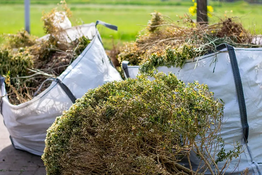 Tree & Shrub Removal, dead plants removal, dead plants in bags to be removed from yard - St. Louis, Mo