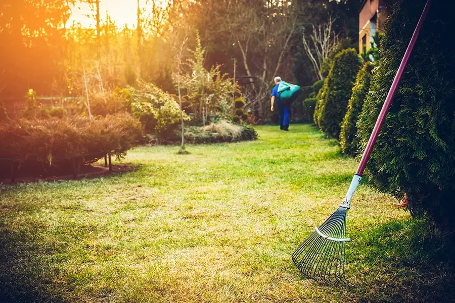 Spring/Fall lawn cleanup - Lawn Care - St. Louis, MO